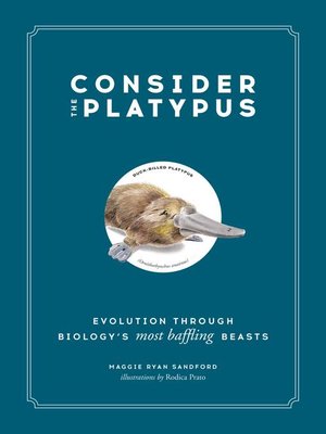 cover image of Consider the Platypus
